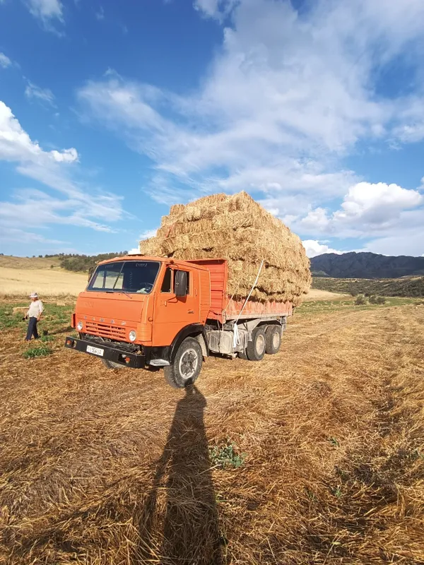 Kamaz selxoz yili 1989 6