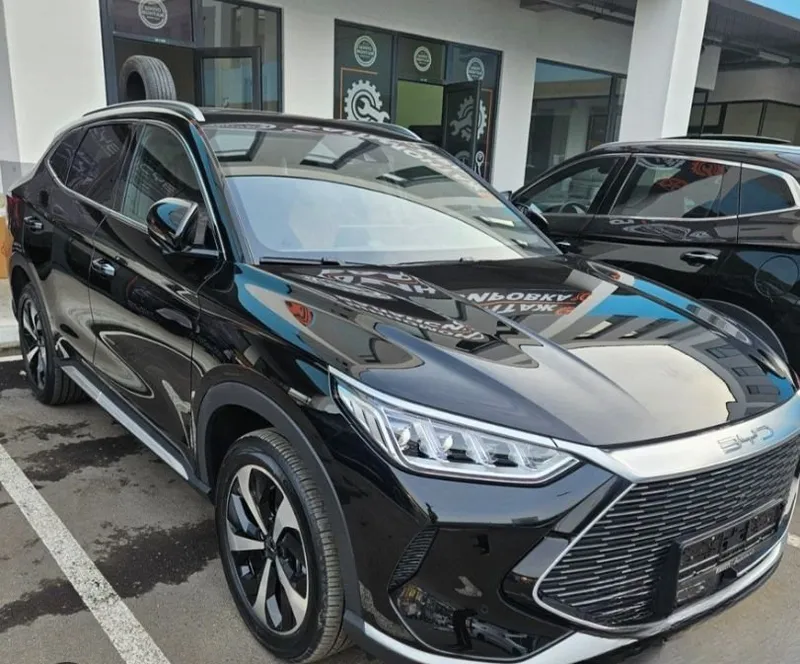 Byd song puls dm-i 2023 yil Byd song puls dm-i 2023 yil