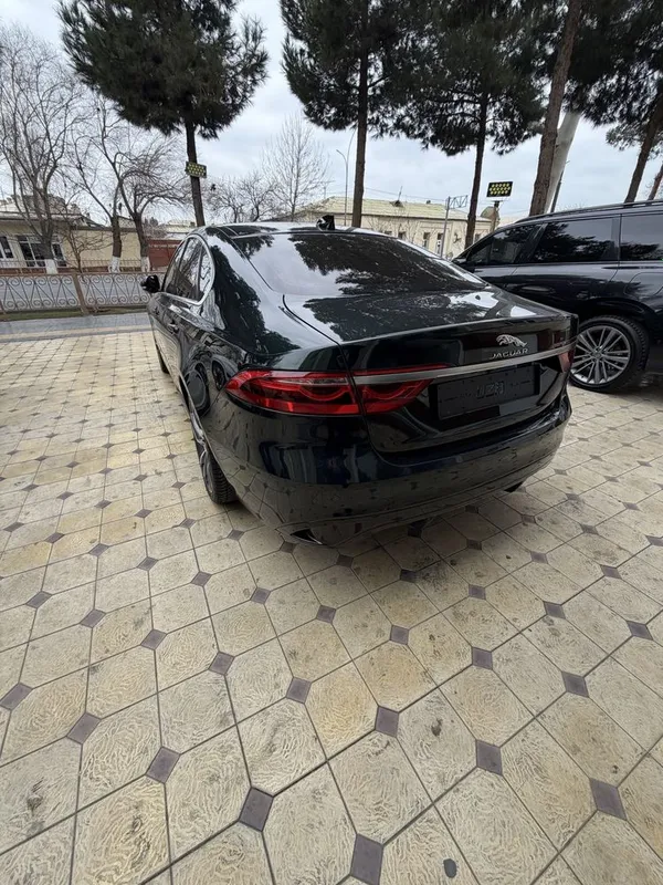 Jaguar XF250 Ideal — фото 4