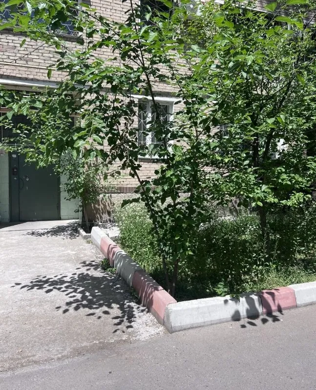 квартира 5 квартира 5