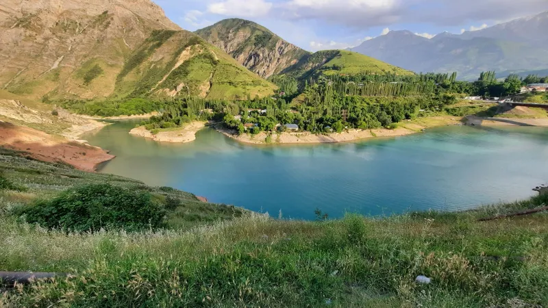 Чарвак, дача в горах — фото 4