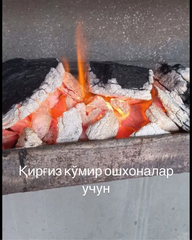 Ошхоналар учун сифатли ОПТОМ кўмир (уголь)