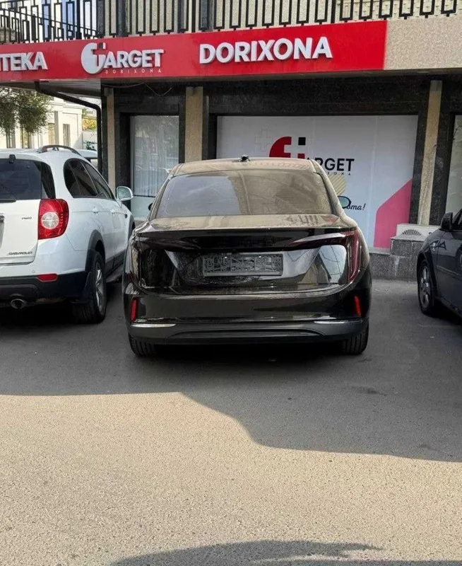Hongqi E-QM5 Black Electro 450km — фото 1