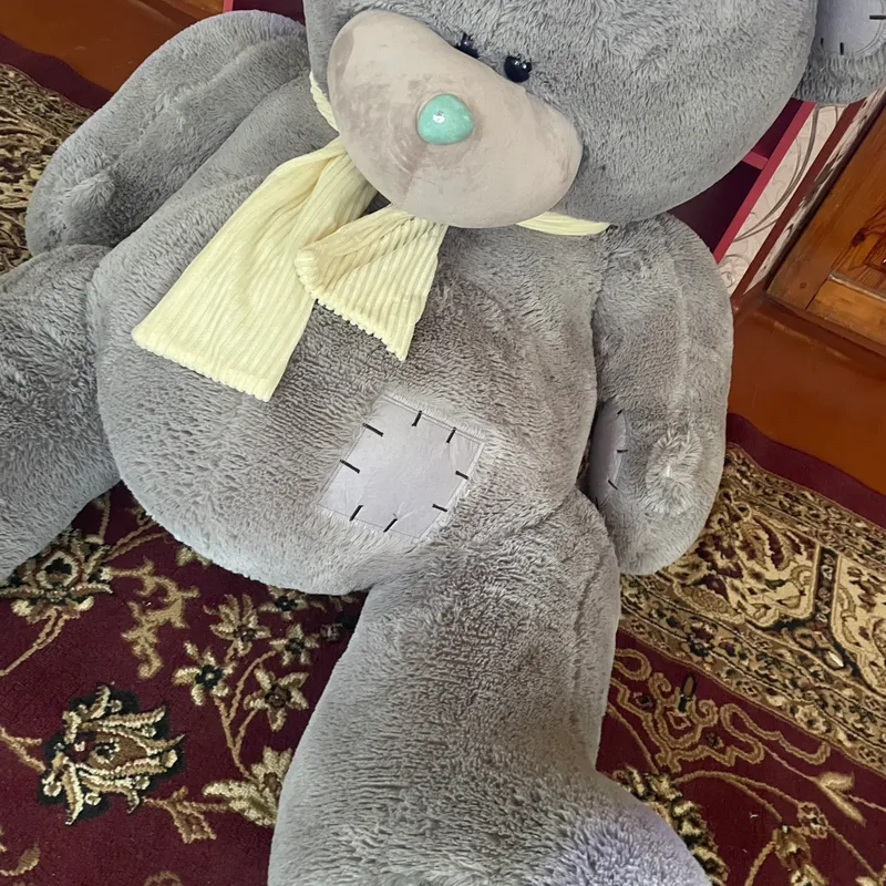 Teddy Juda katta Ayiq Srochnaga sotiladi — фото 3