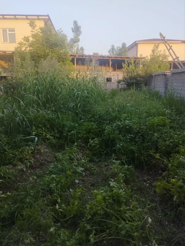Erkin postdan 8 km hovli sotilad 5