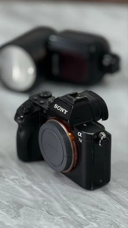 Sony A7 II + 50mm f/2.8 OSS объектив