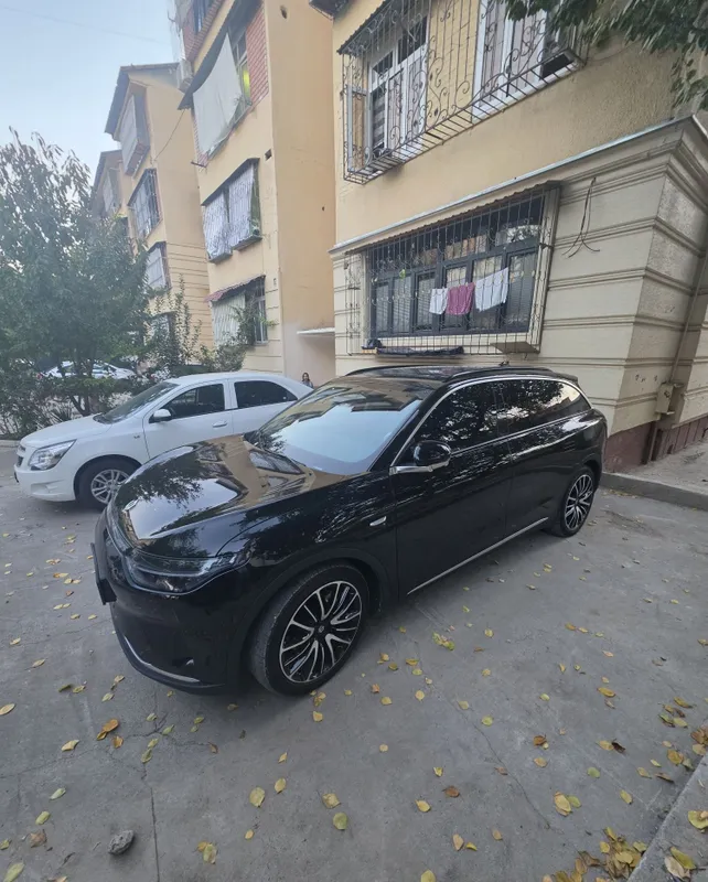 Электрический Leapmotor C11 2