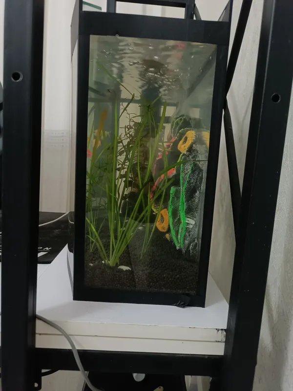 Продам аквариум с рыбками 2