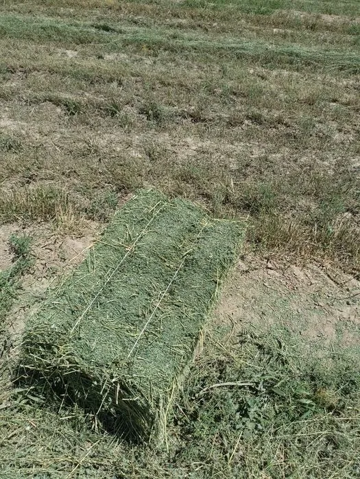 Беда пресс 2 урим САМОВЫВОЗ 2