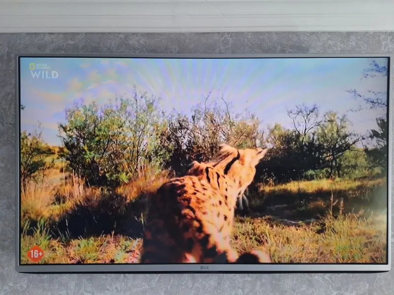 LG 43 smartmas + uzdigital karta — фото 1