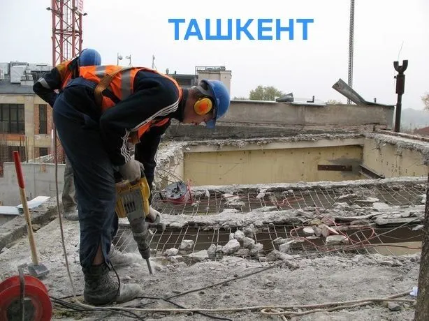 Daraxt kesish butash.услуга бензапела — фото 3
