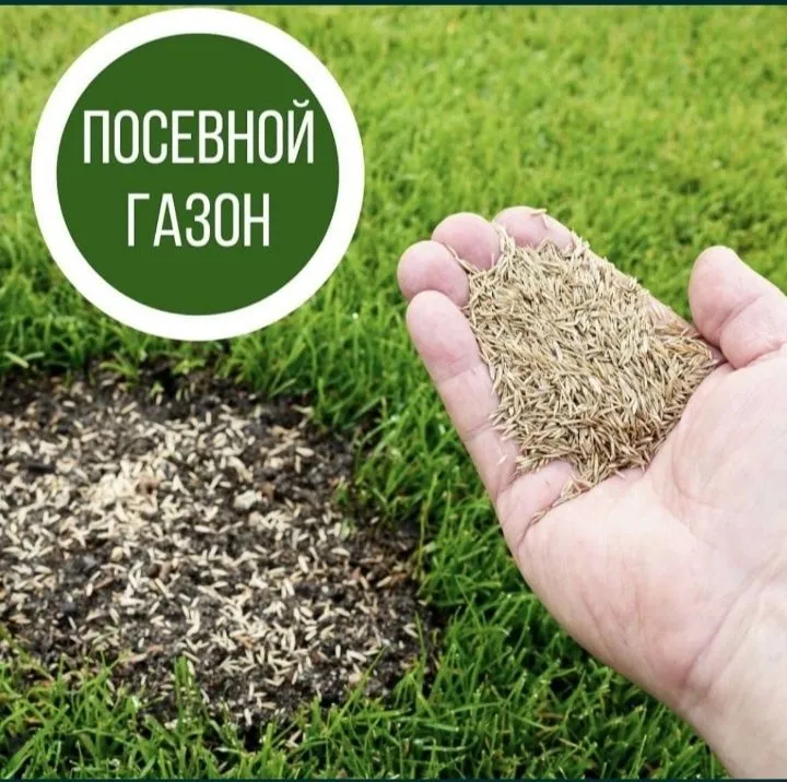 Поссев бренд газоны Автопалив поливная система Ландшафтный диза — фото 3