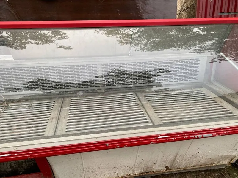 Vitrina holadelnik 2
