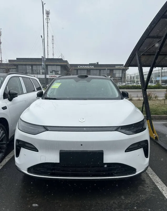 Leapmotor c11 foizsiz