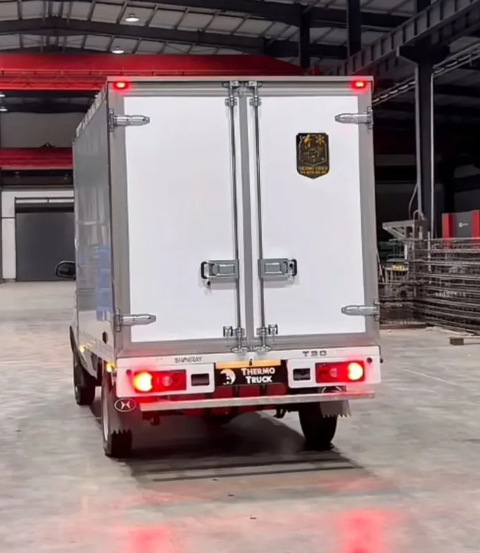 Furgon Izotermik Refrigerator Resor Rama 7
