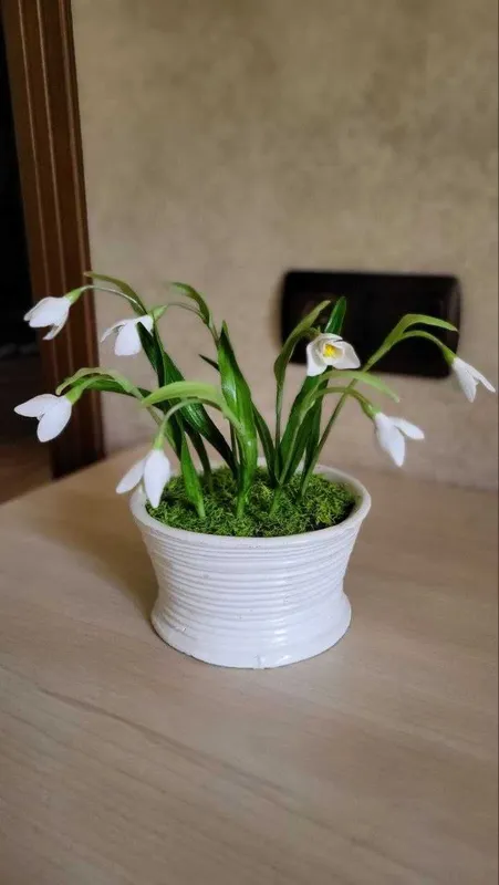 Подарки для женщин Подарки для женщин