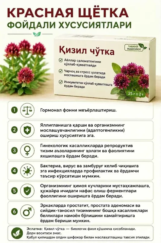 Красная щетка, Qizil cho'tka 2 Красная щетка, Qizil cho'tka 2