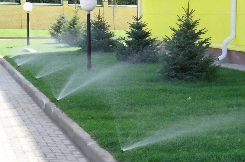 Газон рулонный ,посевной. Микроклимат ,сетка от солнца — фото 3