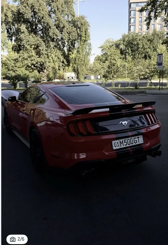 Mustang Shelby 2019 в идеальном состоянии 2 Mustang Shelby 2019 в идеальном состоянии 2