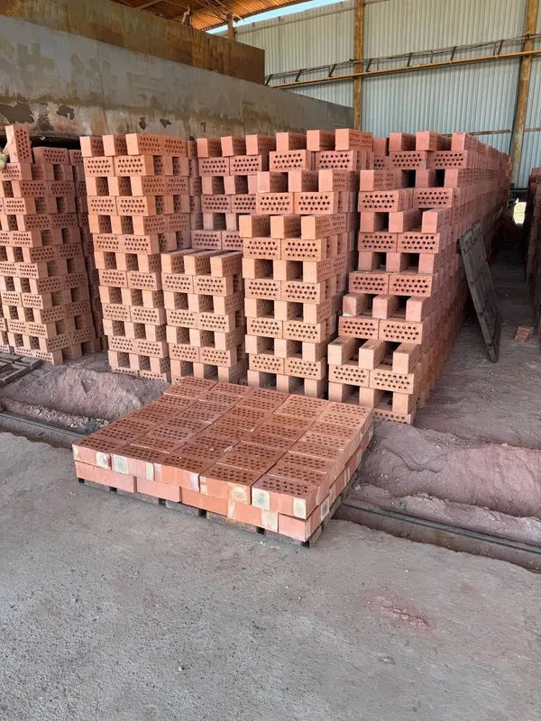 Fortex gʻishtlari 5