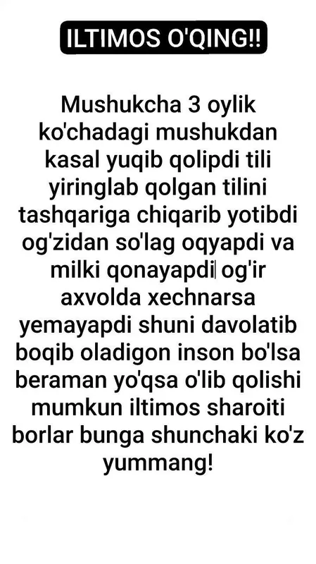 Mushuk hadyaga beriladi 5 Mushuk hadyaga beriladi 5