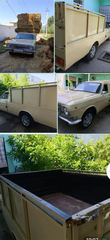 Volga 24