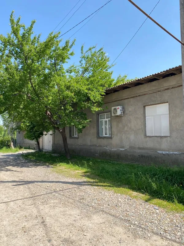 uchastka