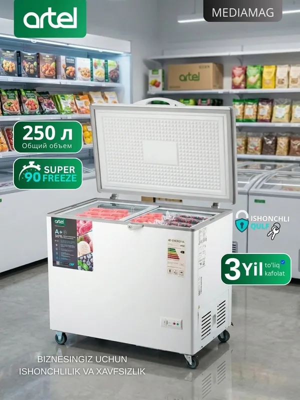 Artel muzlatgichi 1