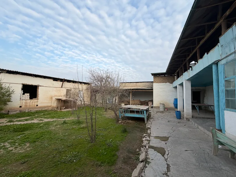 Hoxli sotiladi 8 sotiq qarshi shaxar 7