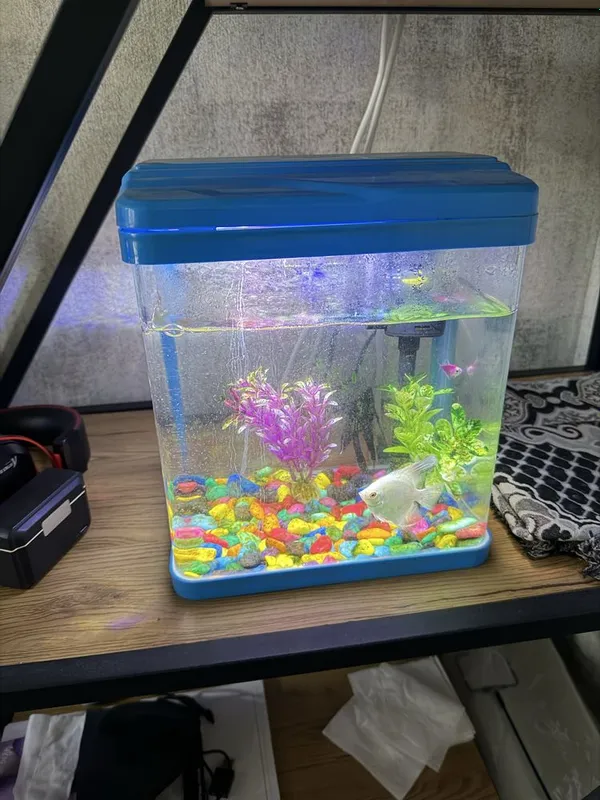 Akvarium sotiladi yaxshi holatda 1