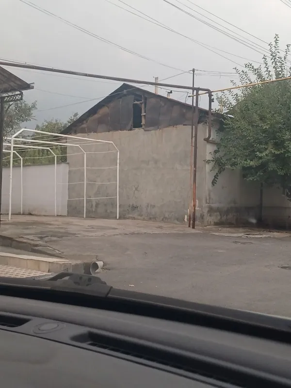 Олмазор тумани мевазор. Шланба — фото 1