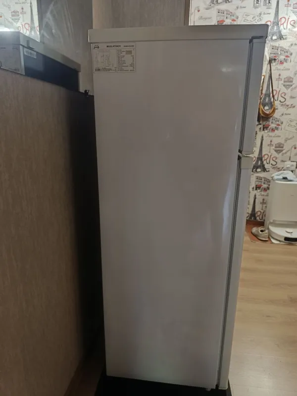 ROISON 212L muzlatkich 2