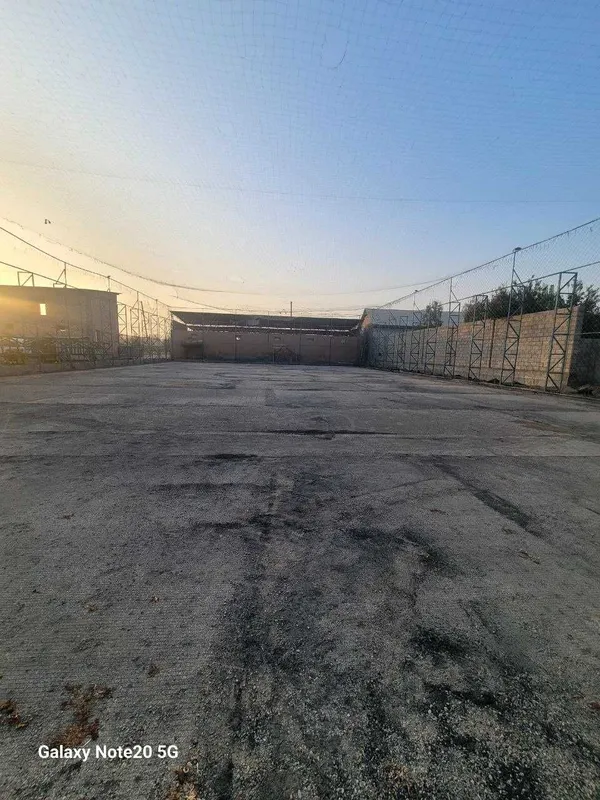 Sun'iy gazon — sotuv va professional o'rnatish | kafolat bilan — фото 3