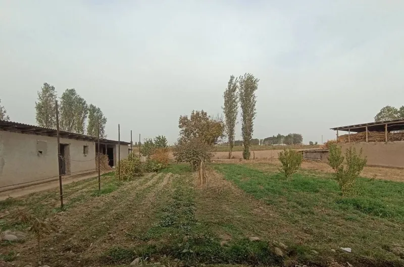 Продаётся дом в Янги Йуле 2 Продаётся дом в Янги Йуле 2