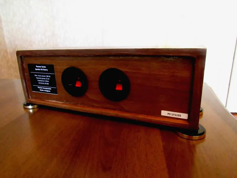 Аудиофильная, стерео колонка «Pioneer» (Belgium. 50W/4"), сабвуфер — фото 2