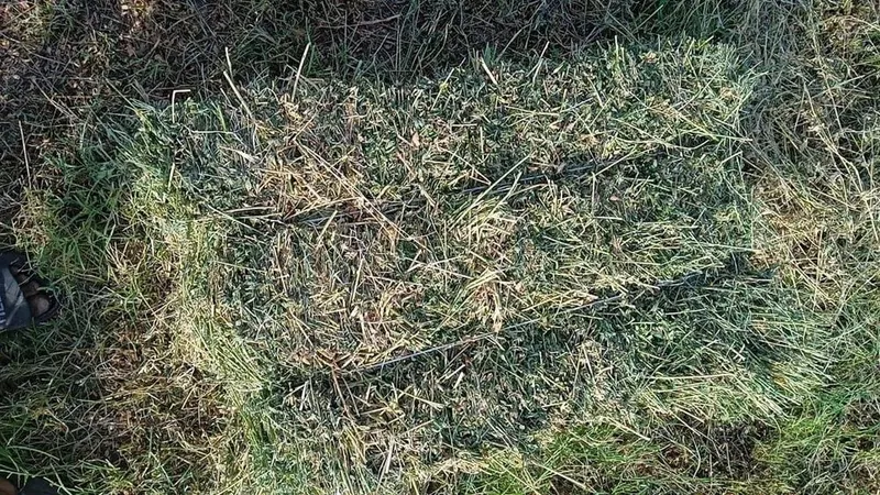 Беда пресс сотилади — фото 1