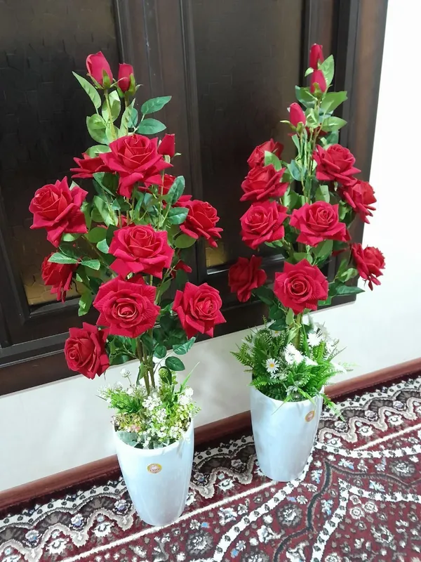 цветы цветы