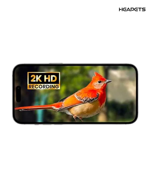 Кормушка для птиц с камерой Heapets Smart Bird Feeder — фото 4