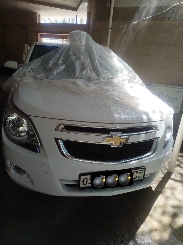 Cobalt style 2025 new 1 Cobalt style 2025 new 1