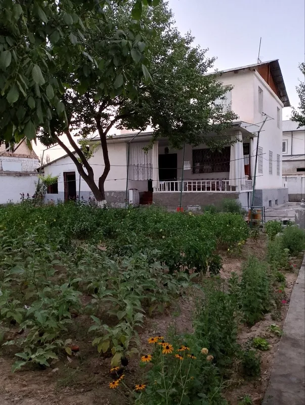 Uchastka sotiladi srochna narx kelishilinadi! — фото 4