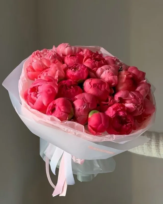 Пионы, цветы , букет 2 Пионы, цветы , букет 2