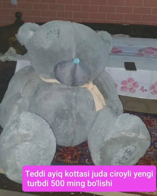 Teddy ayiq kotta
