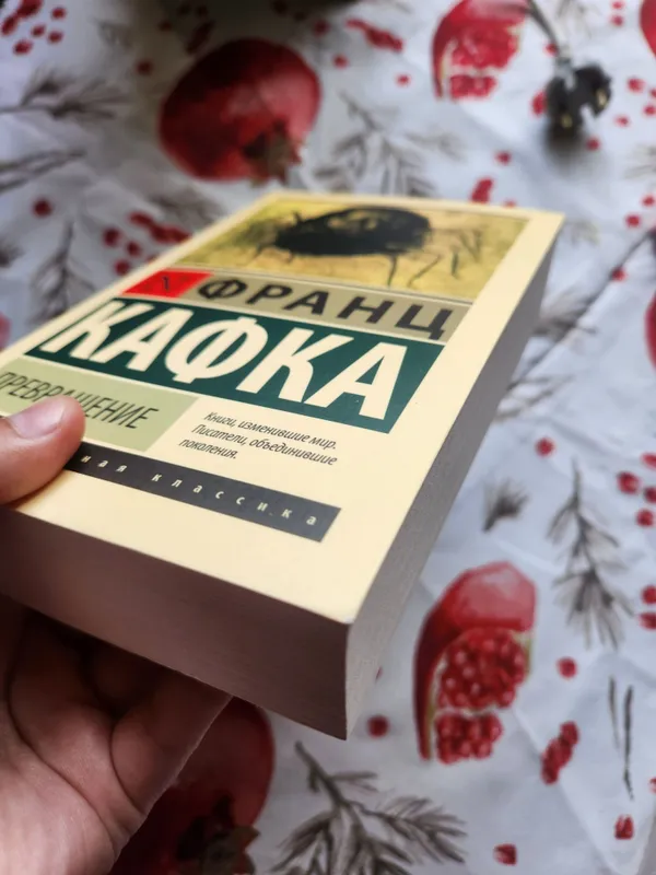 "Превращение" Франц Кафка — фото 3