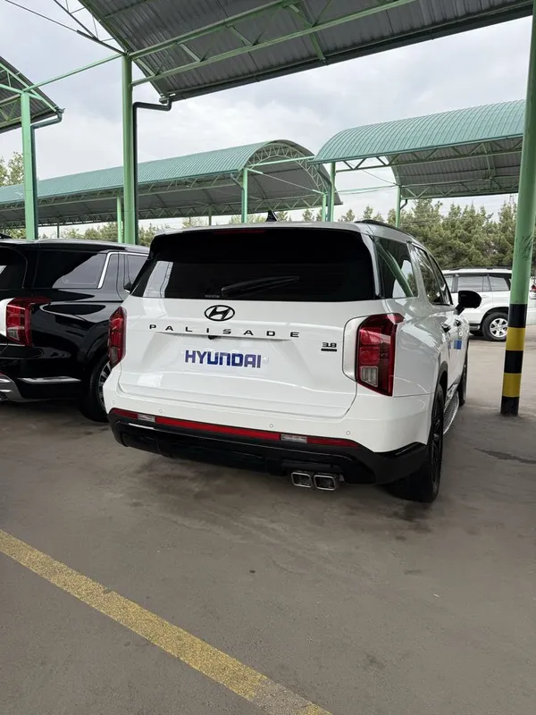 Hyundai Palisade 2023/24 gibirid — фото 1