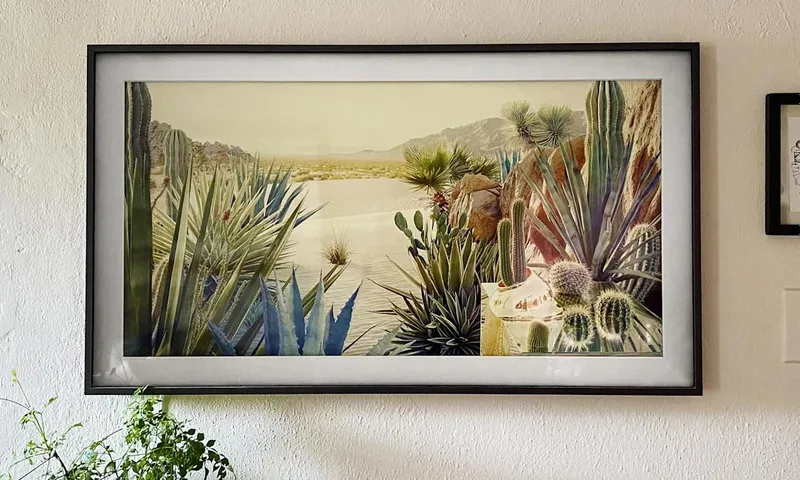 Samsung The Frame 55LS03B 1