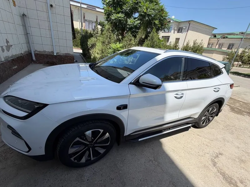 Byd Champion smart 605km