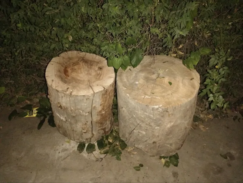 Gosht tonkala sotladi optm donagayam 200$dan — фото 4