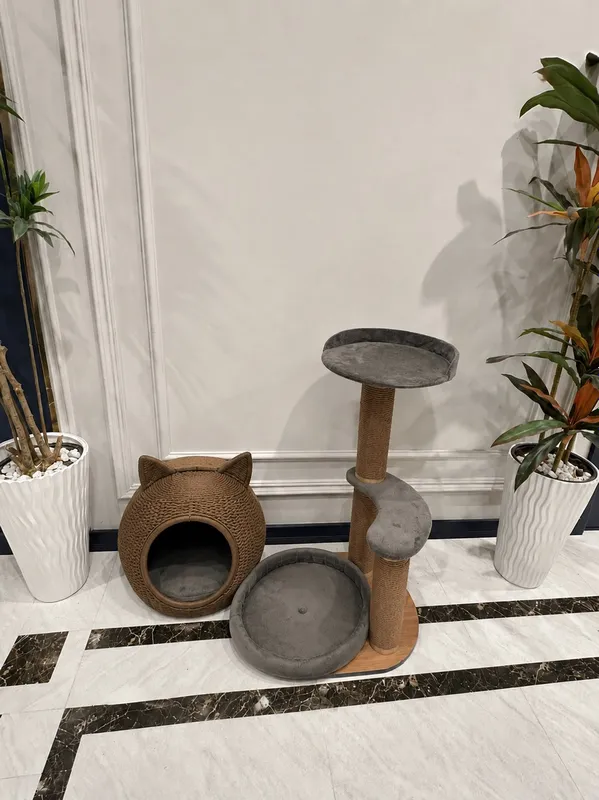 Игровая зона для котов.