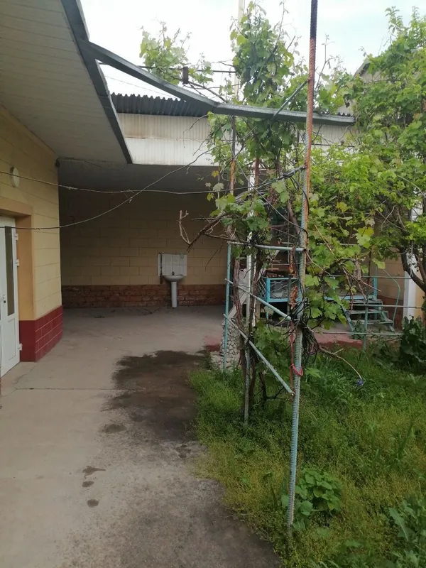 Тошкентда ховли сотилади