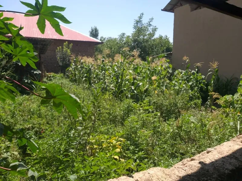 Продается участок 2 сотки, Кибрайский район 3
